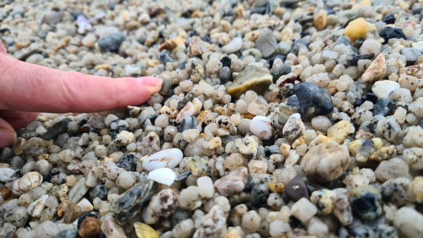 Small beach pebbles with a finger pointing to show the scale.