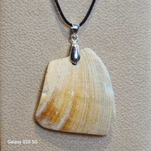 Sea shell pendant with 925 stirling silver stirrup on a leather background.